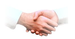 Referencje klient�w